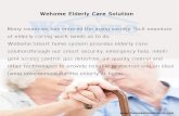Wehome elderly care solution(ZigBee)