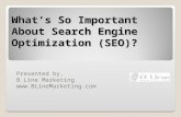What's So Important About Search Engine Optimization (SEO)