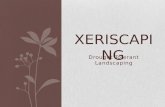 Xeriscaping: Drought Tolerant Landscaping