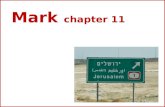 Mark chapter 11