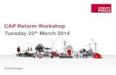 Cap reform workshop presentation 25th march