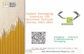 Global Packaging Industry CEO Business Outlook Survey 2013-2014