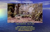 Prion Diseases powerpoint