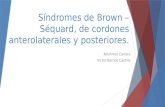 Síndromes Neurológicos - Brown Sequard, Cordones Anterolaterales y Posteriores