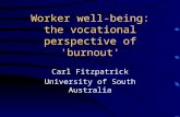 Worker Well Being - A Vocational Perspective of Burnout