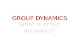 Group dynamics & Communication skill