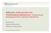 Effective intervention for challenging behaviour, Bruce Cull