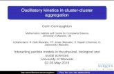 Oscillatory kinetics in cluster-cluster aggregation