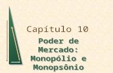 Cap10 - PODER DE MERCADO