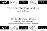 Drug addiction neurobiology
