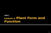 Plant form & function part 1