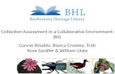 Collection assessment in a collaborative environment: Biodiversity Heritage Library