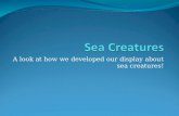Sea creatures England