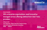 Why enterprise organizations need innovative managed service offerings (MSO) from their Telco providers