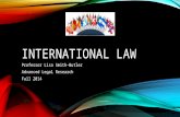 International Law Research