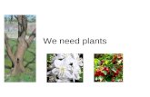We Need Plants And Animals