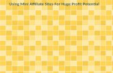 Using Mini Affiliate Sites For Huge Profit Potential