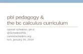 PBL Pedagogy & BC Calculus Curriculum