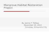 Mangrove habitat restoration project