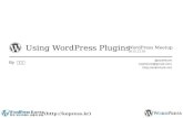 WordPress Meetup for plugins