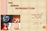 human reproduction 3