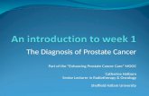 An introduction to prostate cancer diagnosis
