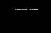 Art 19 animal/human composites