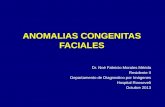Anomalias congenitas faciales
