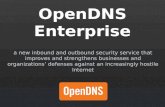 OpenDNS Enterprise Overview