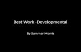 Best Developmental Work