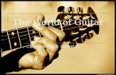 The World Of Guitar
