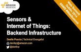 Sensors & Internet of Things: Backend Infrastructure at Dublin Websummit