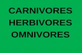 Carnivores herbivores omnivores blog