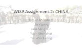 Wisp Assignment 2 China T46