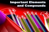 Important elements and compounds