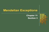 Mendelian exceptions 11 3