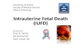 Intrauterine Fetal Death (IUFD),(Kurdistan)