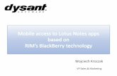 Any Lotus Notes app to BlackBerry integration