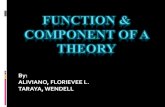 Function & component of a theory
