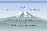 The role of land, forest, river, and ocean