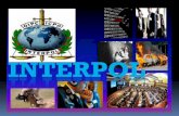 brief information about International criminal police organization