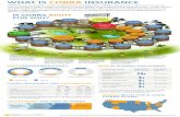 COBRA Insurance Infographic