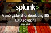 Splunk, a smorgasboard for developing big data solutions