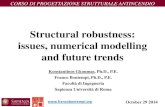 Structural robustness: issues, numerical modelling and future trends