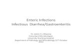 Bacterial diarrhea 2013 4th year unza medical,by DR MWANSA