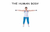 THE HUMAN BODY POWERPOINT