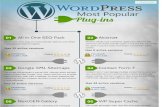 Most Popular WordPress Plug-Ins