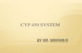 cyp450 system