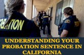 Understanding Your Probation Sentence in California
