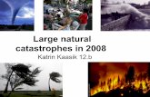 Large natural catastrophes in 2008